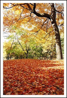 Couleurs d'automne