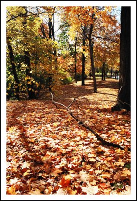 Couleurs d'automne