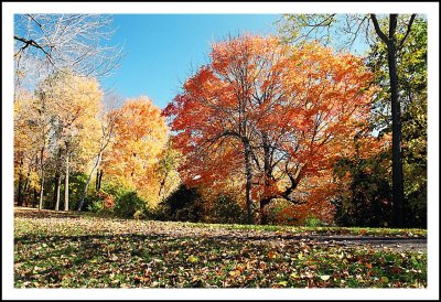 Couleurs d'automne