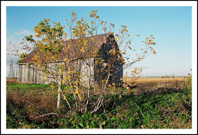 Couleurs d'automne