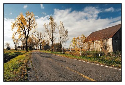 Couleurs d'automne