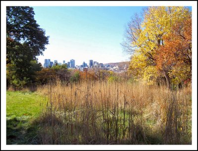 Couleurs d'automne