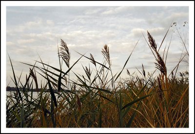 Autumn moods