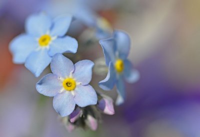 g3/50/322150/3/124706349.lkIqtKJz.jpg