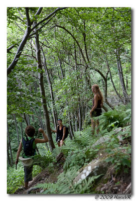 Canon_EOS_5D_Mark_II_20090726_171638_IMG_4707.jpg