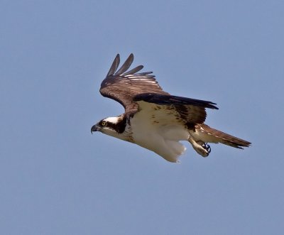 g3/50/363450/3/123022068.RZo3JJN7.jpg