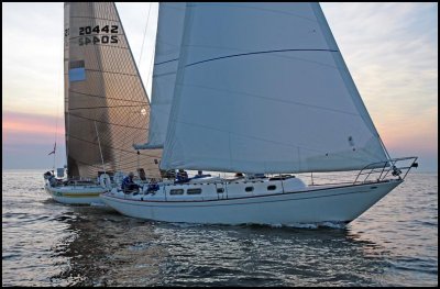 IMG_3821.jpg