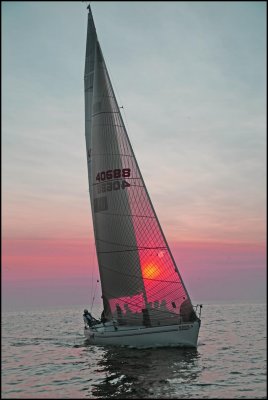 IMG_3784.jpg