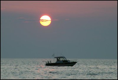 IMG_3790.jpg