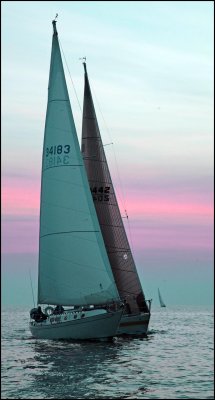 IMG_3817.jpg