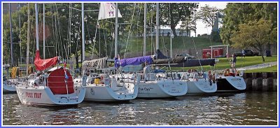 IMG_3572.jpg