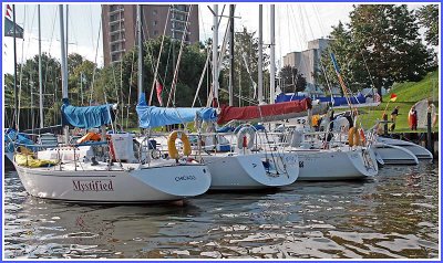 IMG_3576.jpg