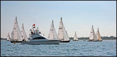 IMG_3597.jpg