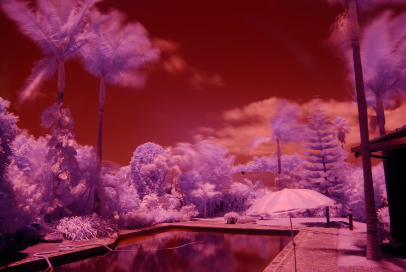 _DSC0025-IR-NC4-PSD colour.jpg