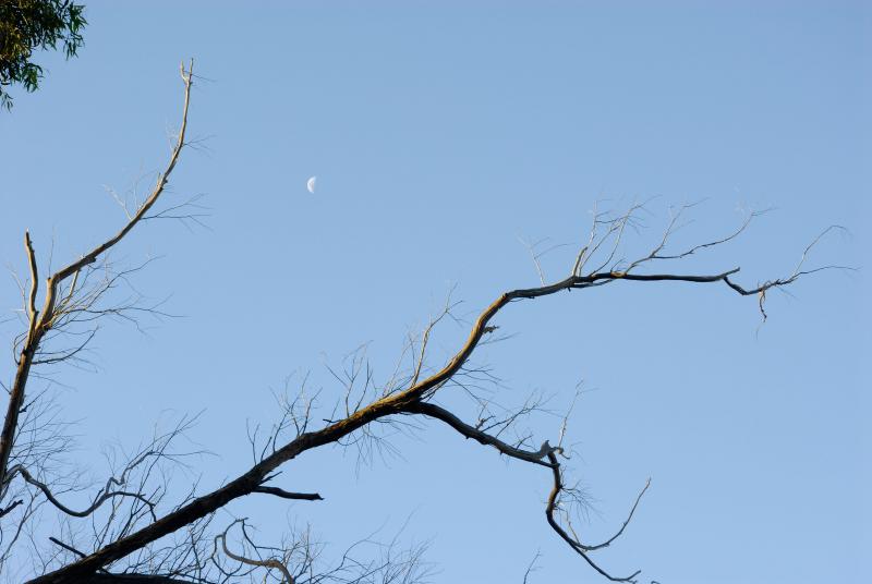 Img2006-01-06_010_srgb.jpg