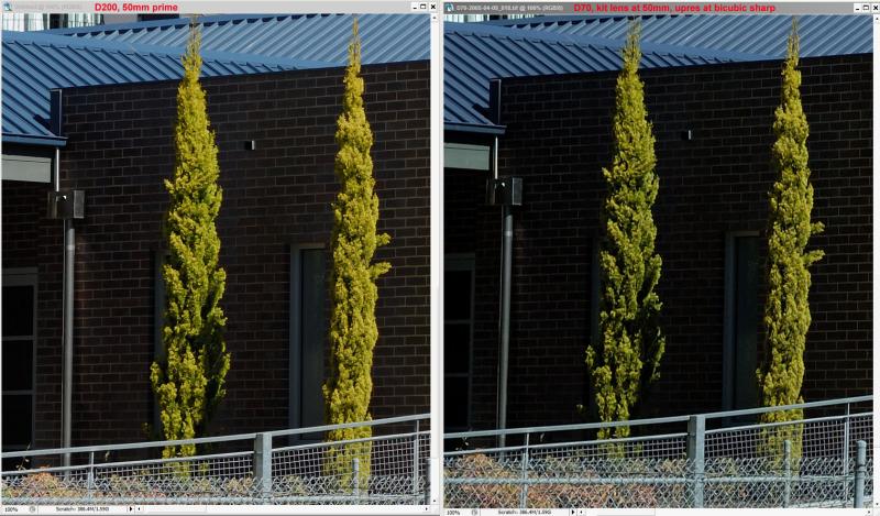 50mmSharpnessCompared to kit and D70.jpg