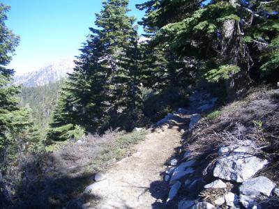 Bolder Boulder, David Horton's run, Pacific Crest trail