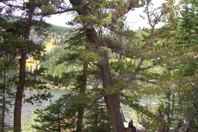DEBI0085.JPG