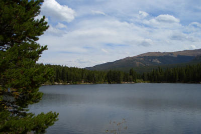 DEBI0093.JPG