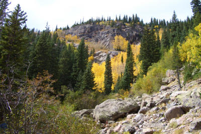 DEBI0098.JPG