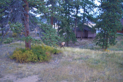 DEBI0320.JPG