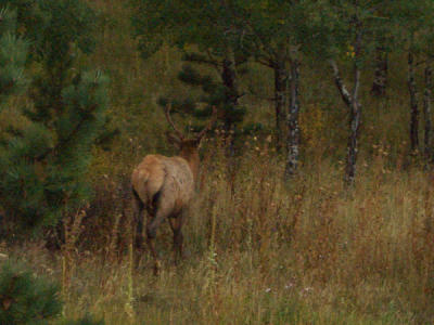 DEBI0325.JPG