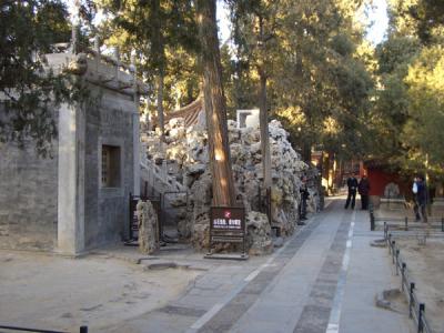 CHNA1647.JPG