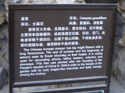 CHNA1649.JPG