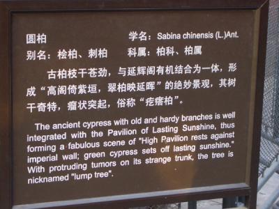 CHNA1665.JPG