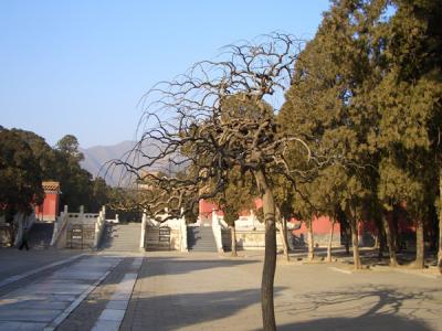 CHNA1770.JPG
