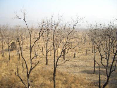 CHNA1811.JPG