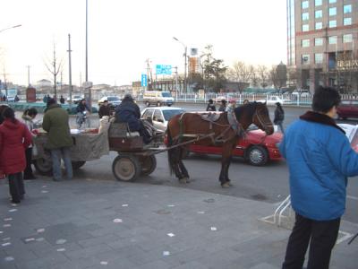 CHNA2081.JPG