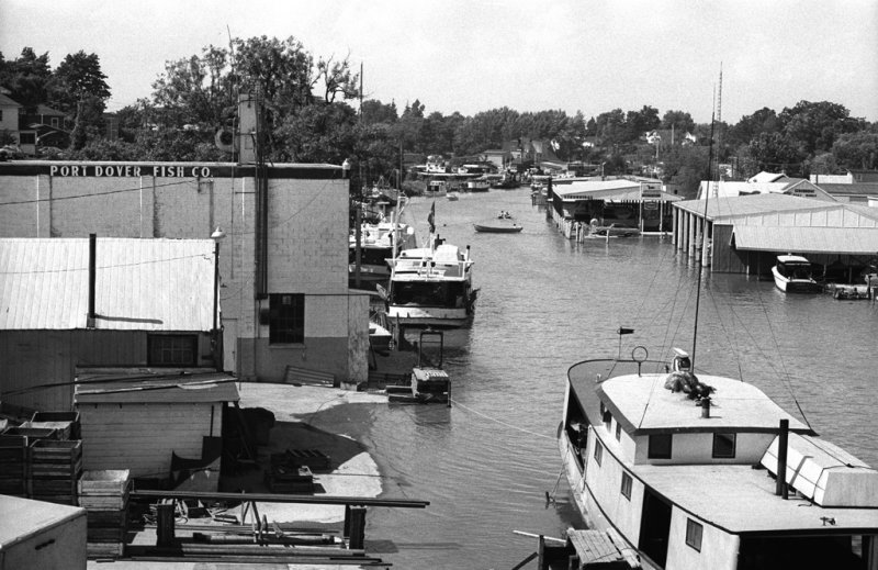 Port Dover Fish Company