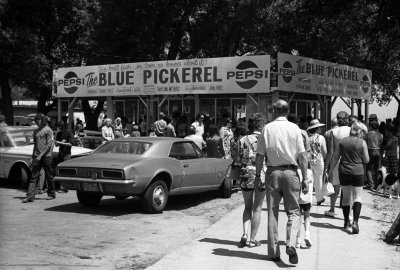 Blue Pickerel Port Dover