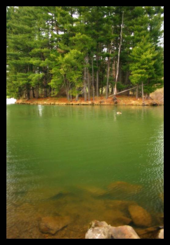 Alleghany-25