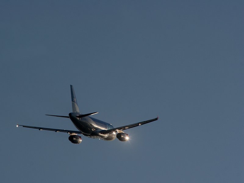 bmi Airbus A319