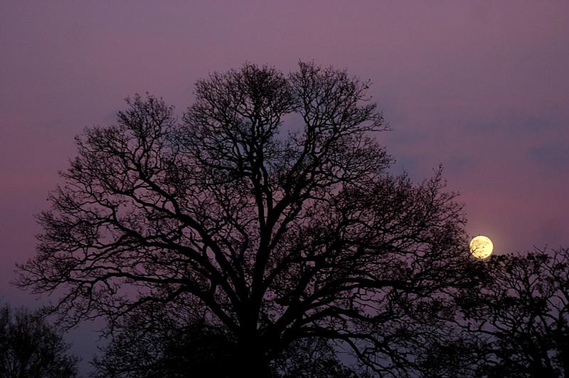December 15 2005:<br>Moonrise at Sunset