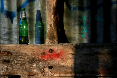 February 11 2010: One Green Bottle