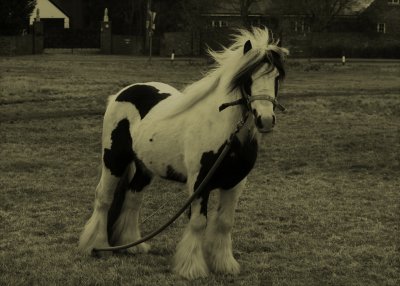 March 14 2010: Tethered