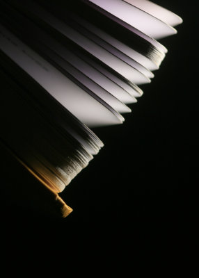 March 31 2010:<br> The Hanging Pages