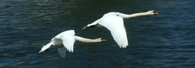 April 13 2010: In Flight