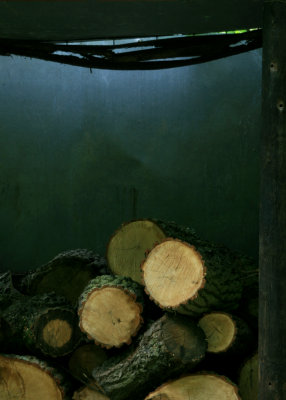 May 5 2010: A Lumberjack's Work