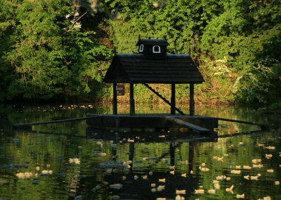 May 23 2010 : Duckingham Palace