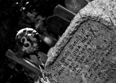 May 26 2010: The Lottery of Life