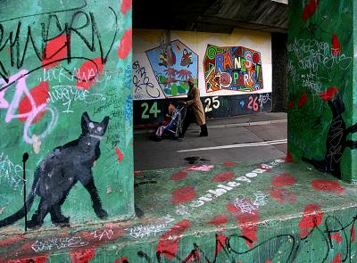 Cats