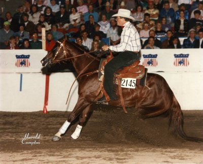 Elvis at 1990 Congress