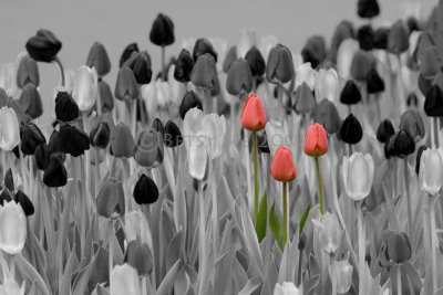 IMG_5193_ebweb.jpg