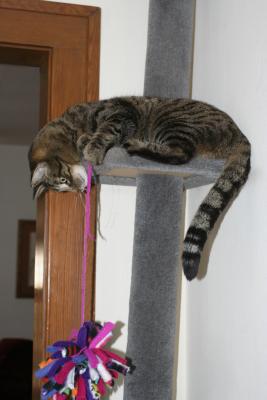 Max05.jpg