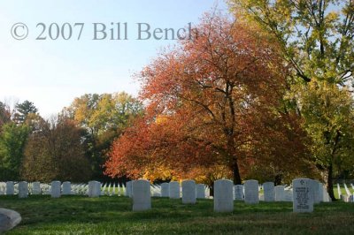 Zachary Taylor National Cemetery_2962