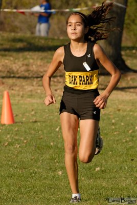 220_2384.jpg